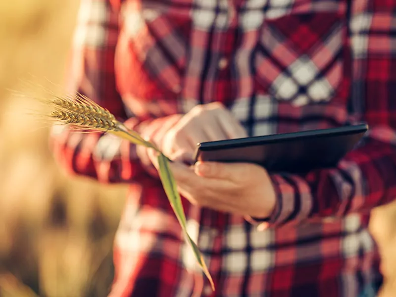 a women holding a tablet and a paddy